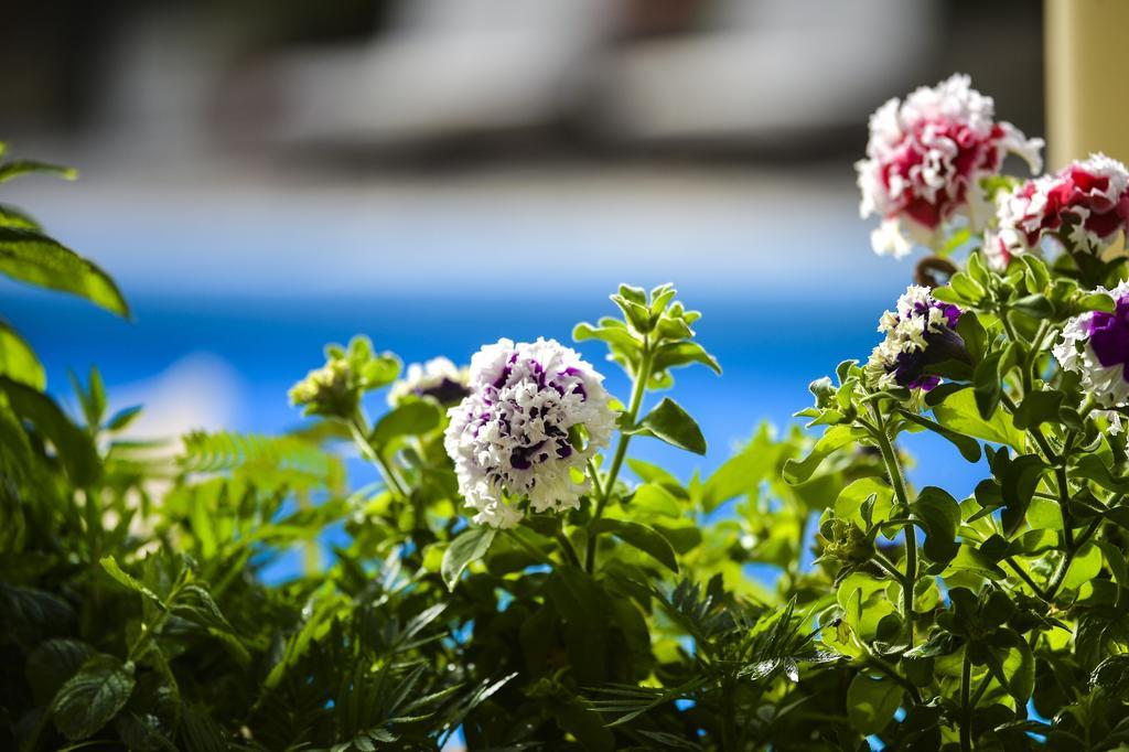 Paxos Club Resort & Spa Gaios Luaran gambar